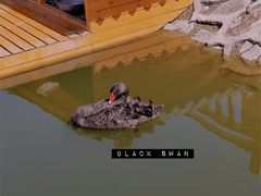 -卧龙湖