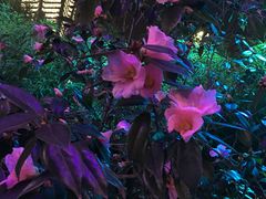 -山水人家(九堡店)