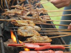 烤翅中-老图们烧烤