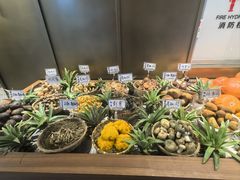 -滇铺子·云南特色菜·鲜花野菜季(东风东路c86店)