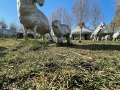 -九十九顶毡房(阜石路店)