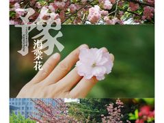 -河南博物院