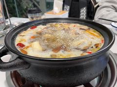 -蘑统田下·野生菌火锅
