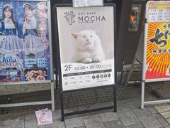 -秋叶原电器街