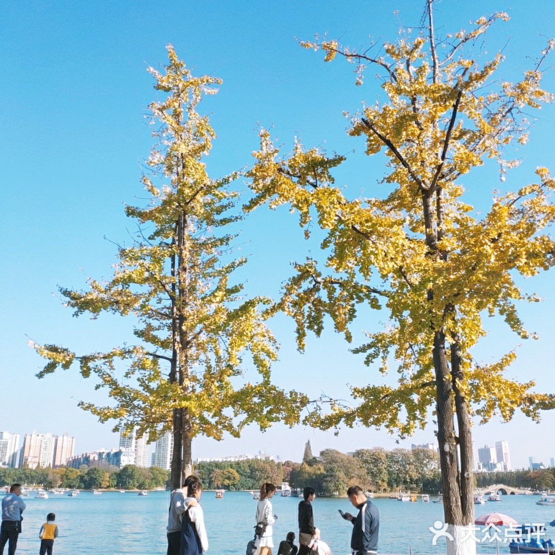 烈士公园原来可以这么美[亲亲]