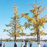 烈士公园原来可以这么美[亲亲]