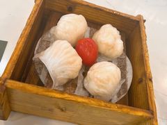 悦满楼虾饺皇-悦满楼·西关名点·湛江名菜(航空综合大厦店)