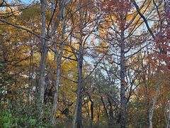 -长春市南湖公园