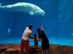 -华夏文旅海洋公园