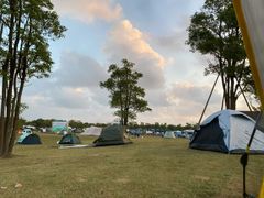 -春花秋色城市公园