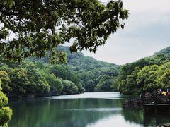 -白马涧龙池景区