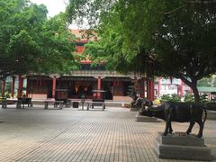 -广东圆玄道观