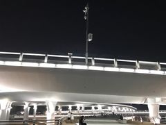 -演武大桥观景平台