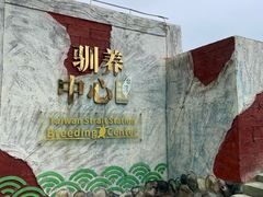 -广东惠东海龟国家级自然保护区
