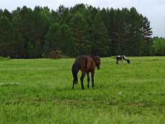 -北极村旅游风景区