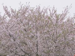 -龙美术馆(西岸馆)