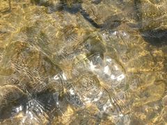 -广州白江湖森林公园