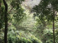 -大雁山风景区