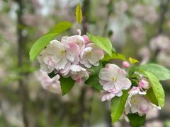 -海棠花溪(元大都城垣遗址公园)