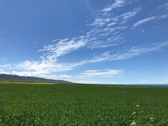 -青海湖国家重点风景名胜区
