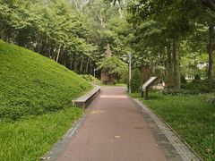 -王借岗森林公园