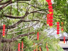 -大湾区中央湿地公园