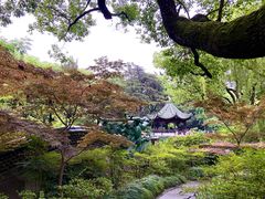 -申粤轩酒楼·三十年粤菜经典(丁香花园店)