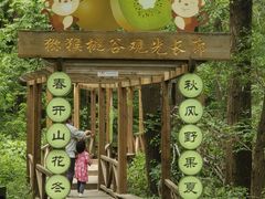 -大岭沟猕猴桃谷风景区