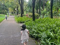 -深圳龙潭公园