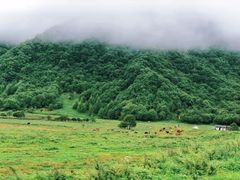 景点-萍乡武功山风景名胜区