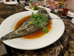 清蒸石斑鱼-宜兴隆家宴·私房菜(泰安华庭店)