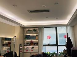 -碧莲盛·不剃发植发