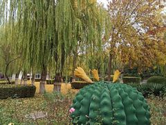 -西清公园