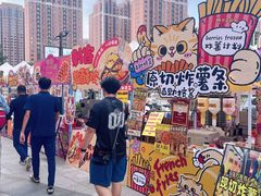 -鹏欣水游城