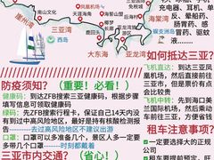 -嗲嗲的椰子鸡(亚龙湾总店)