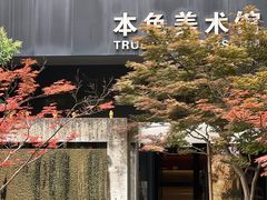 -苏州本色美术馆