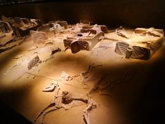 -洛阳周王城天子驾六博物馆