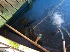 -鲤鱼塘农家山庄