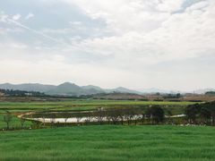 -光明小镇欢乐田园