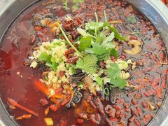 水煮毛肚-小尹土菜