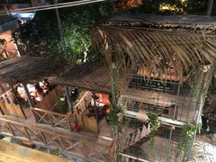 -Rainforest