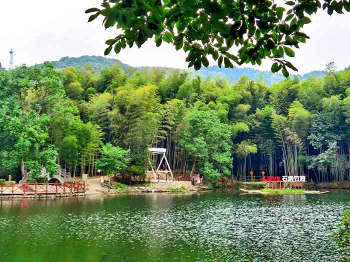 石塘竹海风景图片图片