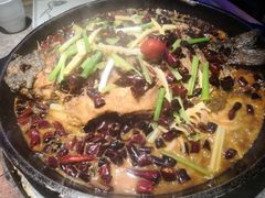 -老板恋上鱼(高新万达店)
