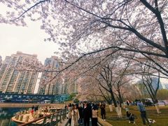 -西北湖绿化广场