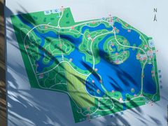 -大兴滨河森林公园