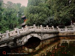 -国家植物园