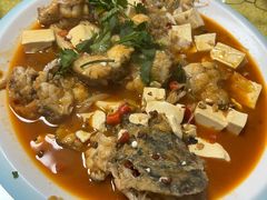 -煲来饱去冷水鱼