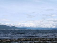 -阳宗海湿地