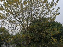 -艾溪湖湿地公园