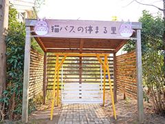 -前小桔亲子创意农场·草莓采摘·露营烧烤